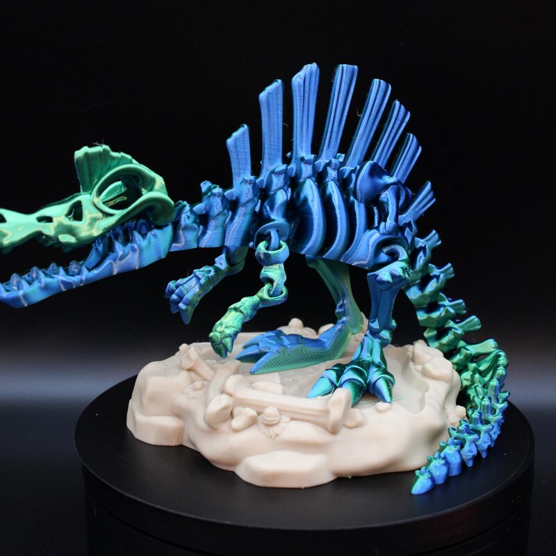 Articulated Spinosaurus Skeleton | Choose Your Color | Optional Display Stand